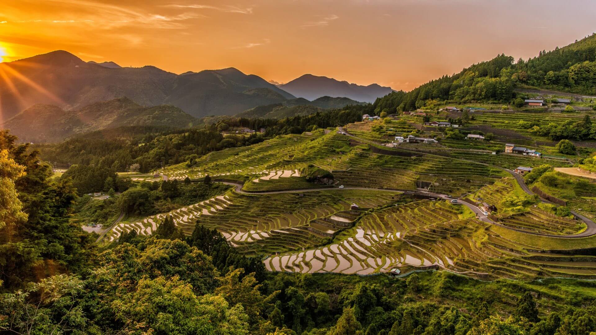 agriculture-beautiful-countryside-461818